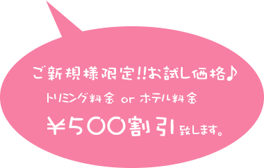 ご新規様限定!!お試し価格♪ トリミング料金 or ホテル料金 ￥500割引致します。