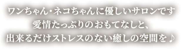 ワンちゃん・ネコちゃんに優しいサロンです 愛情たっぷりのおもてなしと、出来るだけストレスのない癒しの空間を♪